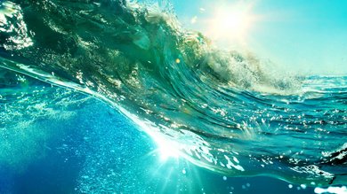 Alberghi nel Cilento, la terra del Mito Alberghi nel Cilento, la terra del Mito